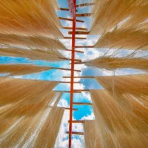 Vermicelli